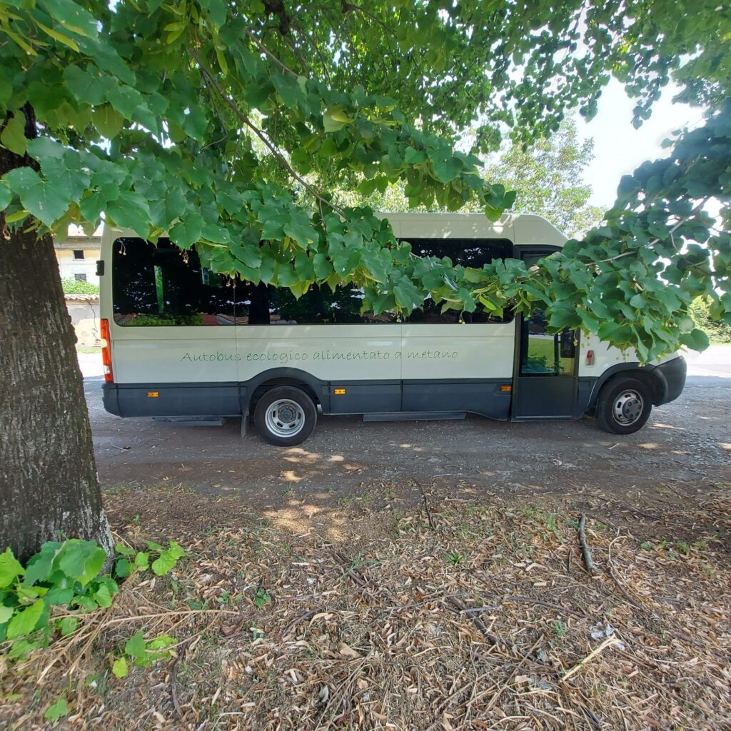 Iveco Daily - foto 3