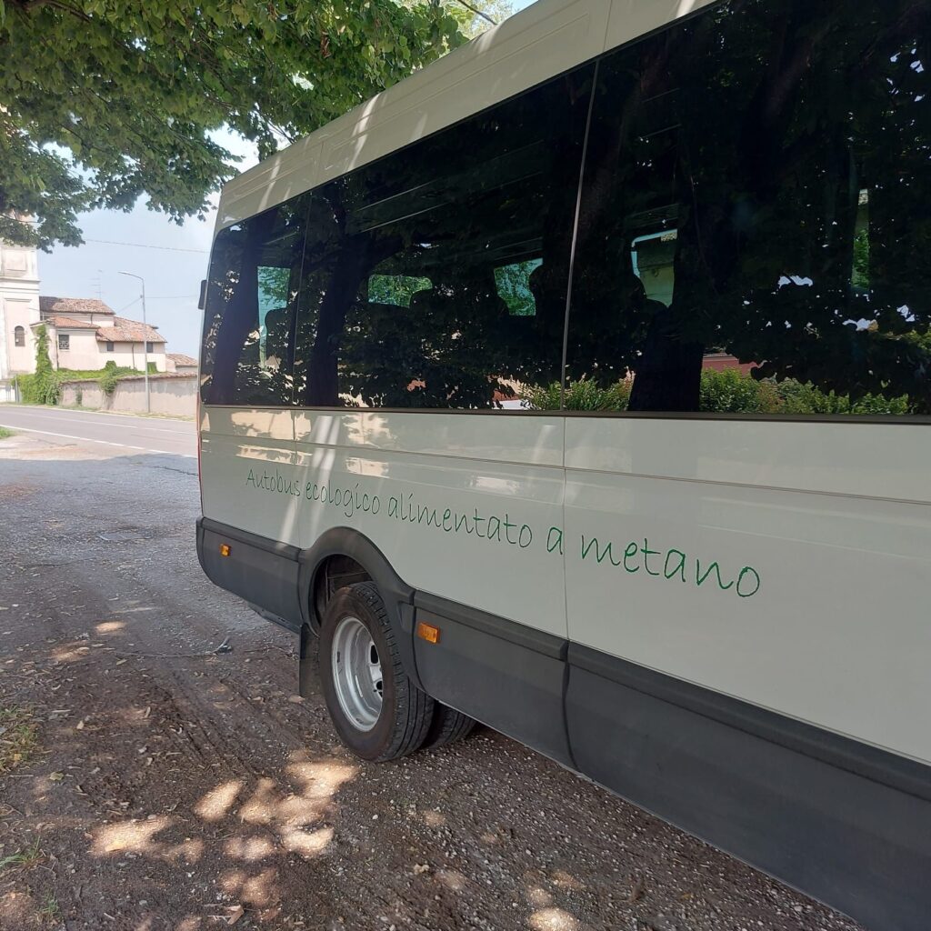 Iveco Daily - foto 4