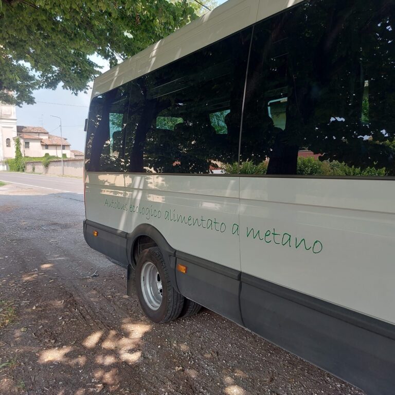 Iveco Daily - foto 4