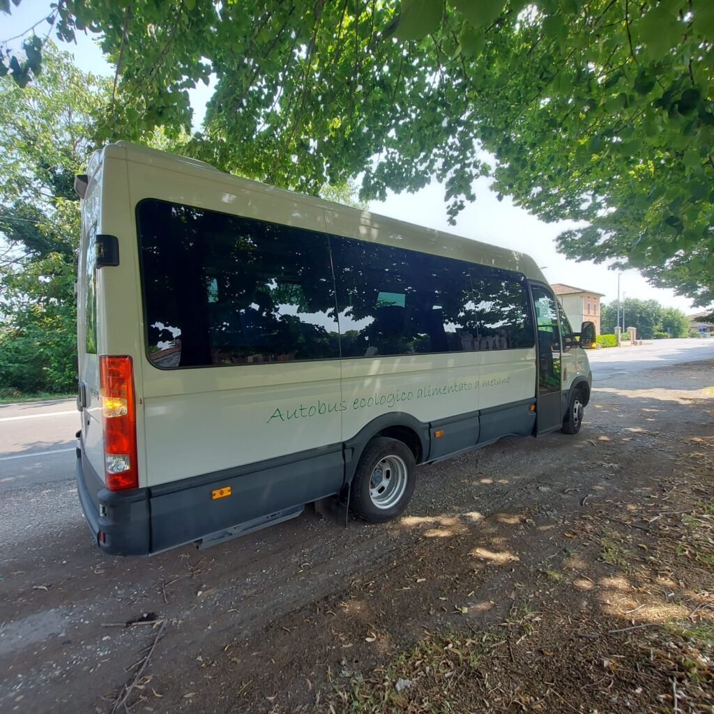 Iveco Daily - foto 1