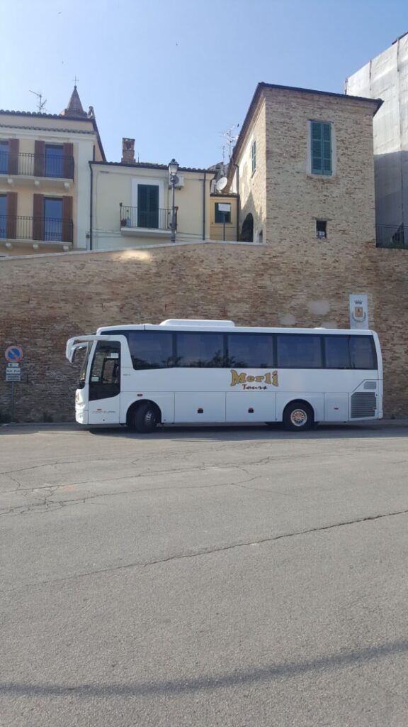 Temsa MD9 - foto 12