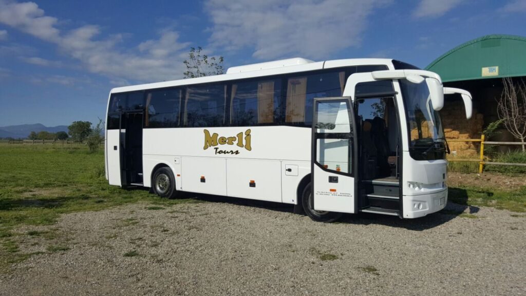 Temsa MD9 - foto 8
