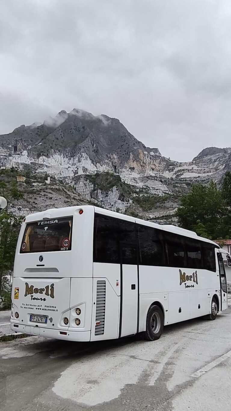 Temsa MD9 - foto 14